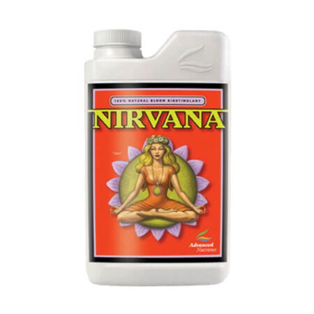 Nirvana-1-L