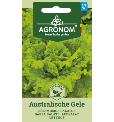 lettuce-australische-gele