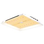 mars-hydro-led-grow-light-ts-1000 