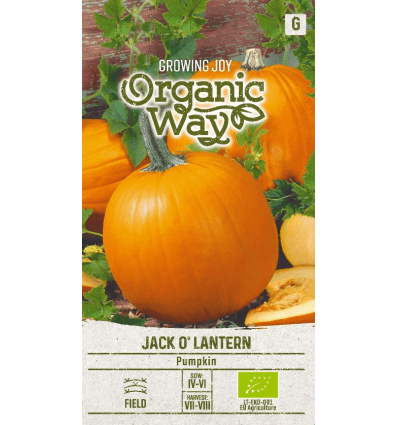 ow-pumpkin-jack-o-lantern