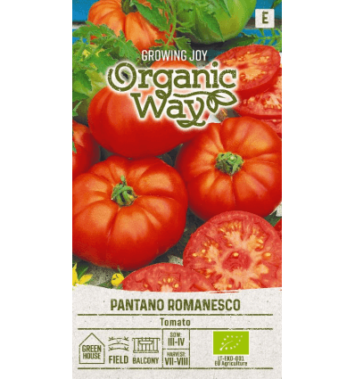 ow-tomato-pantano-romanesco