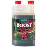 canna-boost-accelerator