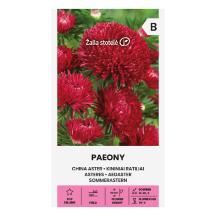 china-aster-paeony