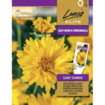 coreopsis-tickseed-early-sunrise-tickseed