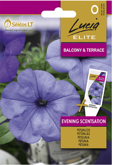 petunia-evening-scenthation