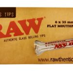 RAW93[1]