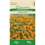 scotch-marigold