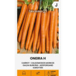 carrot-oneira-h