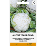 cauliflower-all-the-year-round