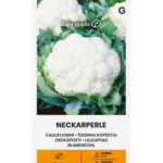 cauliflower-neckarperle