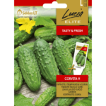 cucumber-corveta-h