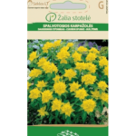 cushion-spurge