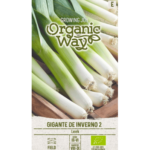 leek-gigante-de-inverno-2