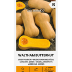musk-pumpkin-waltham-butternut