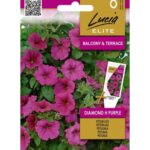 petunia-diamond-h-purple