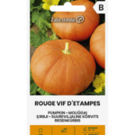 pumpkin-rouge-vif-detampes