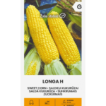 sweet-corn-longa-h