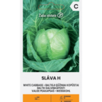 white-cabbage-slava-h
